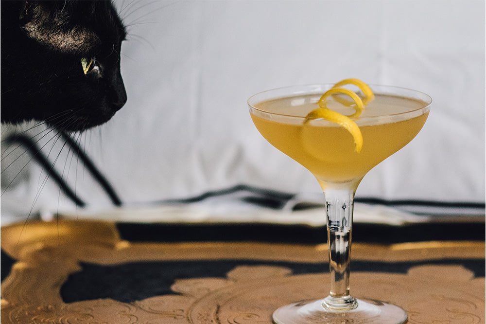 The Gin Craze, Gin Lane & Old Tom Gin
