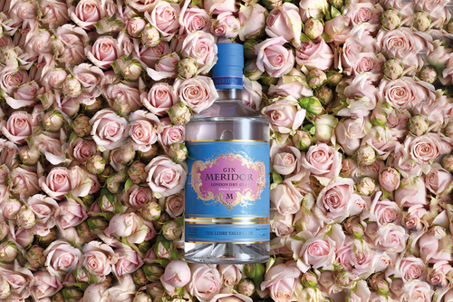 November 2019 | Gin Meridor London Dry Gin
