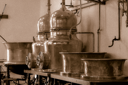 The History of Gin - Explained