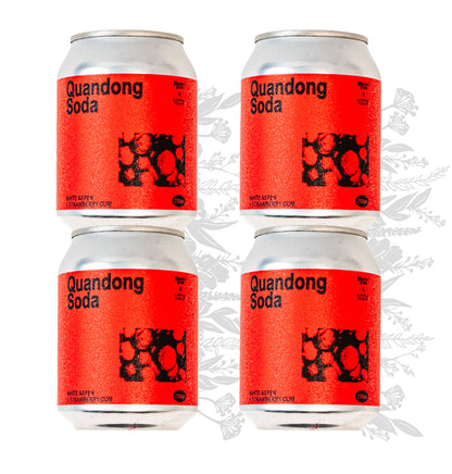 Mischief Brew Quandong Soda (4 x 250ml)