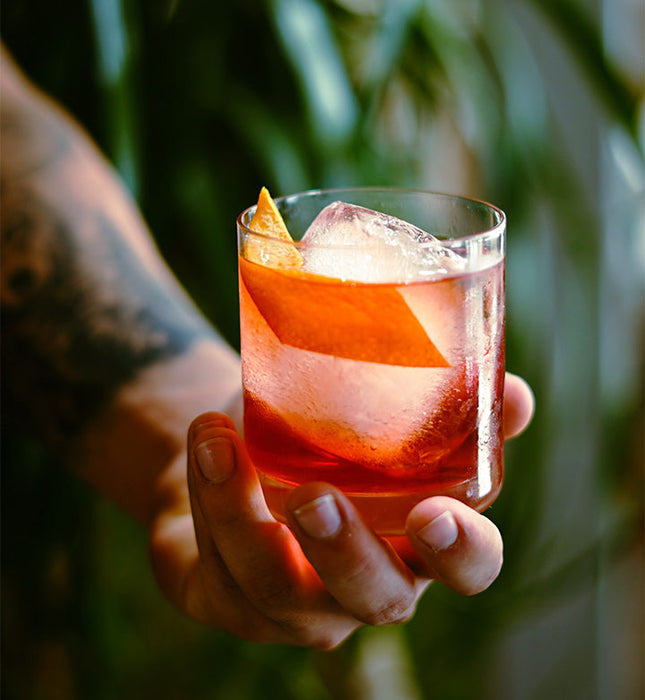 https://www.gardenstreet.com.au/cdn/shop/files/negroni_x700.jpg?v=1645676999