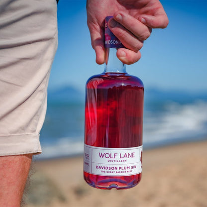 Wolf Lane Davidson Plum Gin (700ml)
