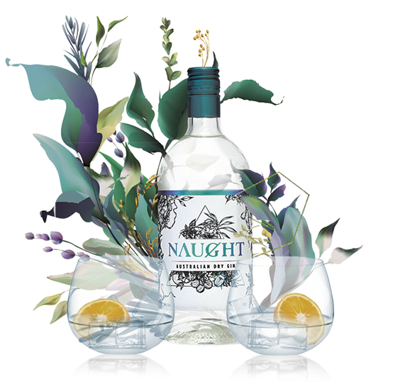 Naught Gift Box + Stemless Gin Glasses