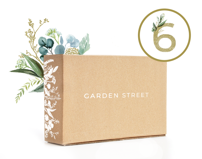 Gift Subscription - 6 x Monthly Boxes