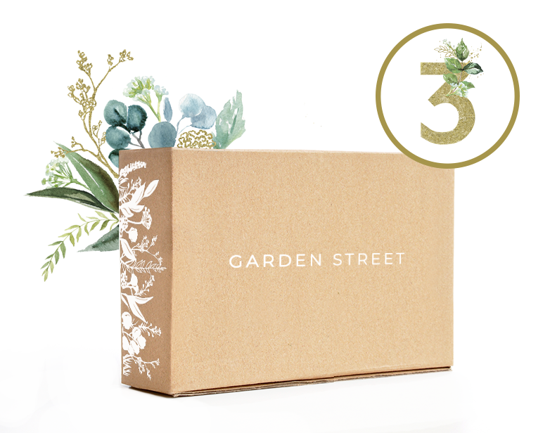 Gift Subscription - 3 x Monthly Boxes