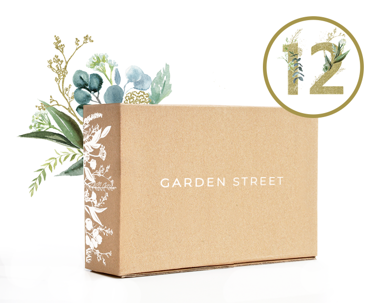 Gift Subscription - 12 x Monthly Boxes